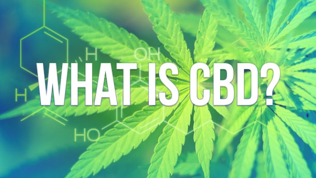 The Healing Power of CBD: Unveiling the Benefits of CBD Products