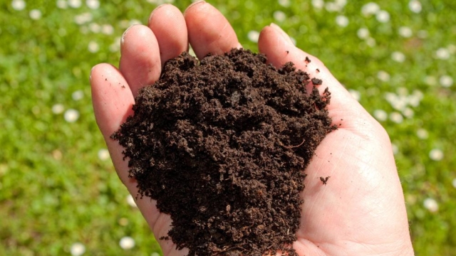 Unleashing the Power of Organic Soils: A Green Thumb’s Guide to Fertilizers