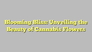 Blooming Bliss: Unveiling the Beauty of Cannabis Flowers