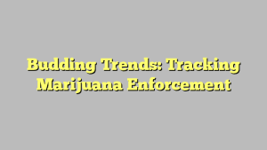 Budding Trends: Tracking Marijuana Enforcement