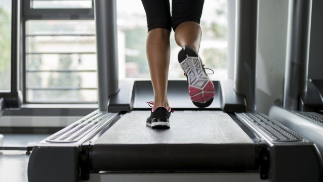 Revolutionize Your Fitness: Unleashing the Power of Treadmills