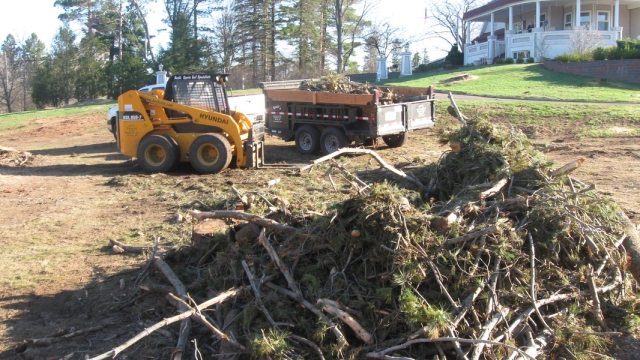 The Art of Tree Disappearing: Exploring the World of Tree Removal