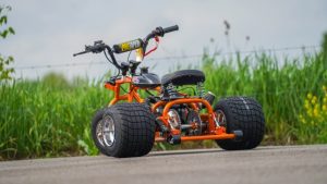 Unleashing Thrills: The TGV Mini Trike Adventure