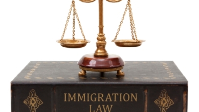 Navigating the Path: Understanding Immigration Law