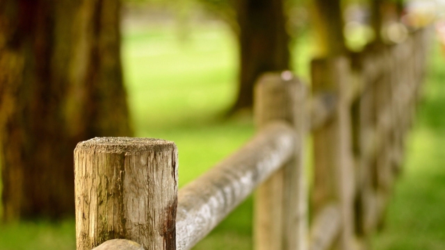 Fencing Face-Off: Chain Link vs. Wood – Which Wins the Battle?