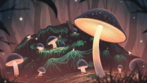 The Fungi Frontier: Unleashing the Magic of Mushroom Growing