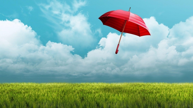 Shielding Your Success: A Guide to Small Business Insurance
