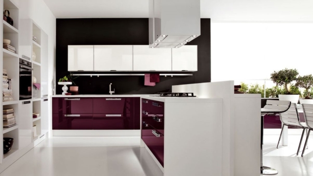 Sleek and Stylish: Unveiling the Allure of Modern Custom Kitchen Cabinets