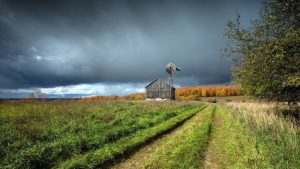 The Enchanting Harvest: Unveiling the Secrets of Coastal Farming