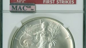 The Enigmatic Beauty of Rare Silver Eagles