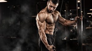 Muscle Mastery: Unleashing the Power of Bodybuilding