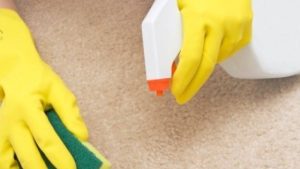 Unveiling the Secrets to Perfectly Clean Carpets