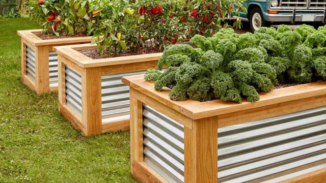 Blooming Marvels: Unleashing the Magic of Garden Beds