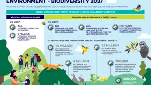 Thriving Together: Exploring the Interconnected World of Ecology and Biodiversity