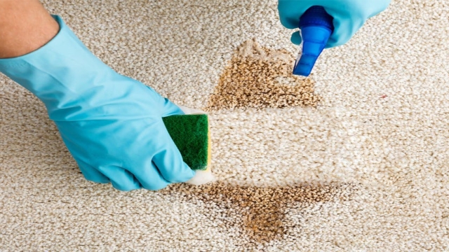 The Ultimate Guide to Fresh and Flawless Carpets: Expert Cleaning Tips!