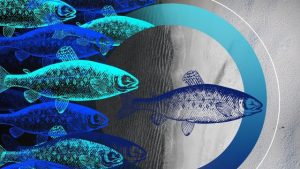 Revolutionizing the Waters: The Future of Aquaculture Technology