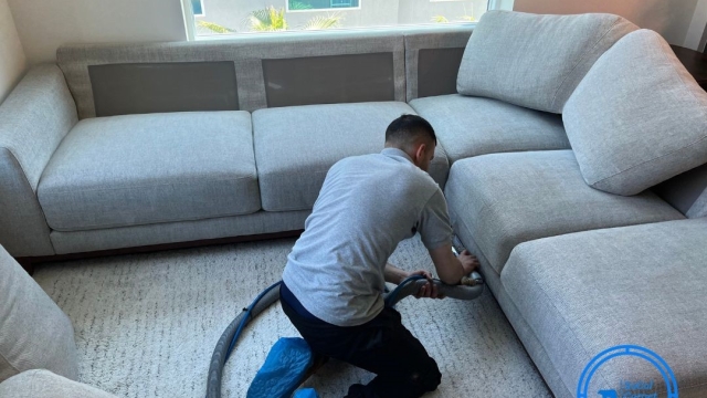 Revive Your Space: The Ultimate Guide to Carpet and Upholstery Cleaning