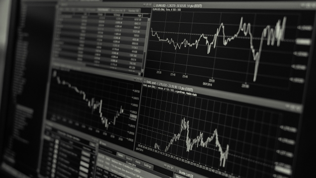 What is an educational platform for investors