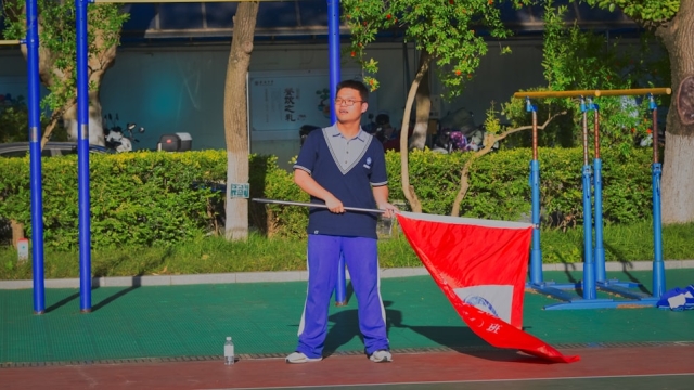 Essential Dimensions and Layout for a Padel Court racquet sport