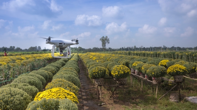 Overview of Aquaculture Productivity Tools